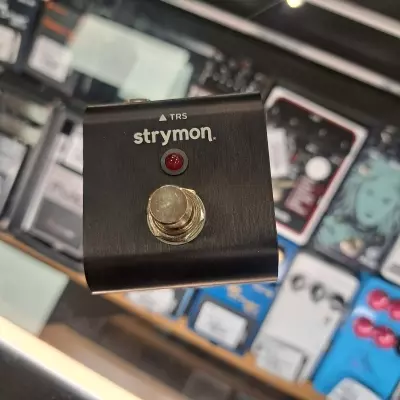 Strymon - TAP